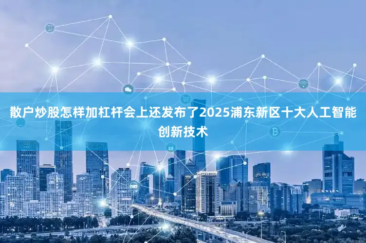 散户炒股怎样加杠杆会上还发布了2025浦东新区十大人工智能创新技术