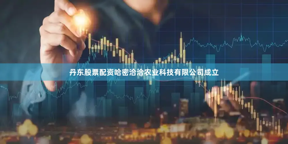 丹东股票配资哈密洽洽农业科技有限公司成立